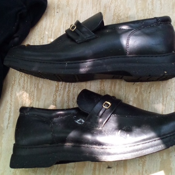 Shows - Picture 2 of 2